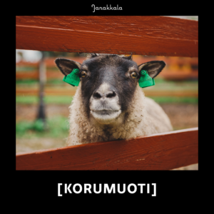 lammas kurkkii aitojen välistä