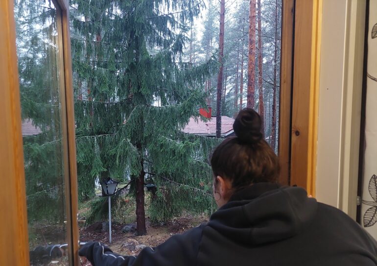Nainen pihaovella.