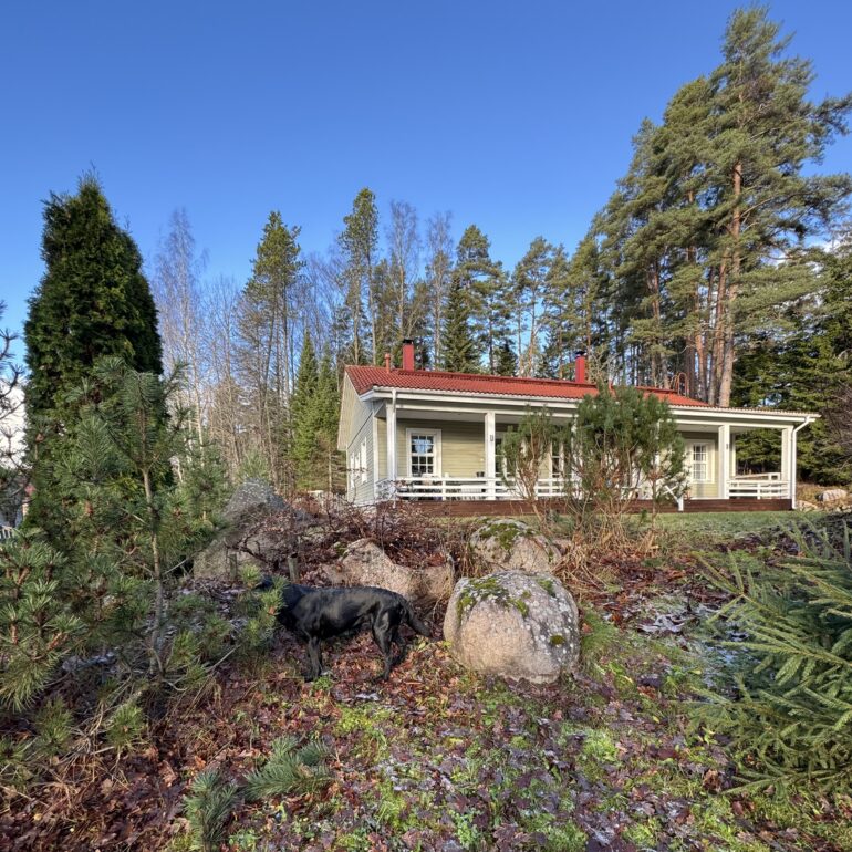 Omakotitalo metsäisessä ympäristössä.