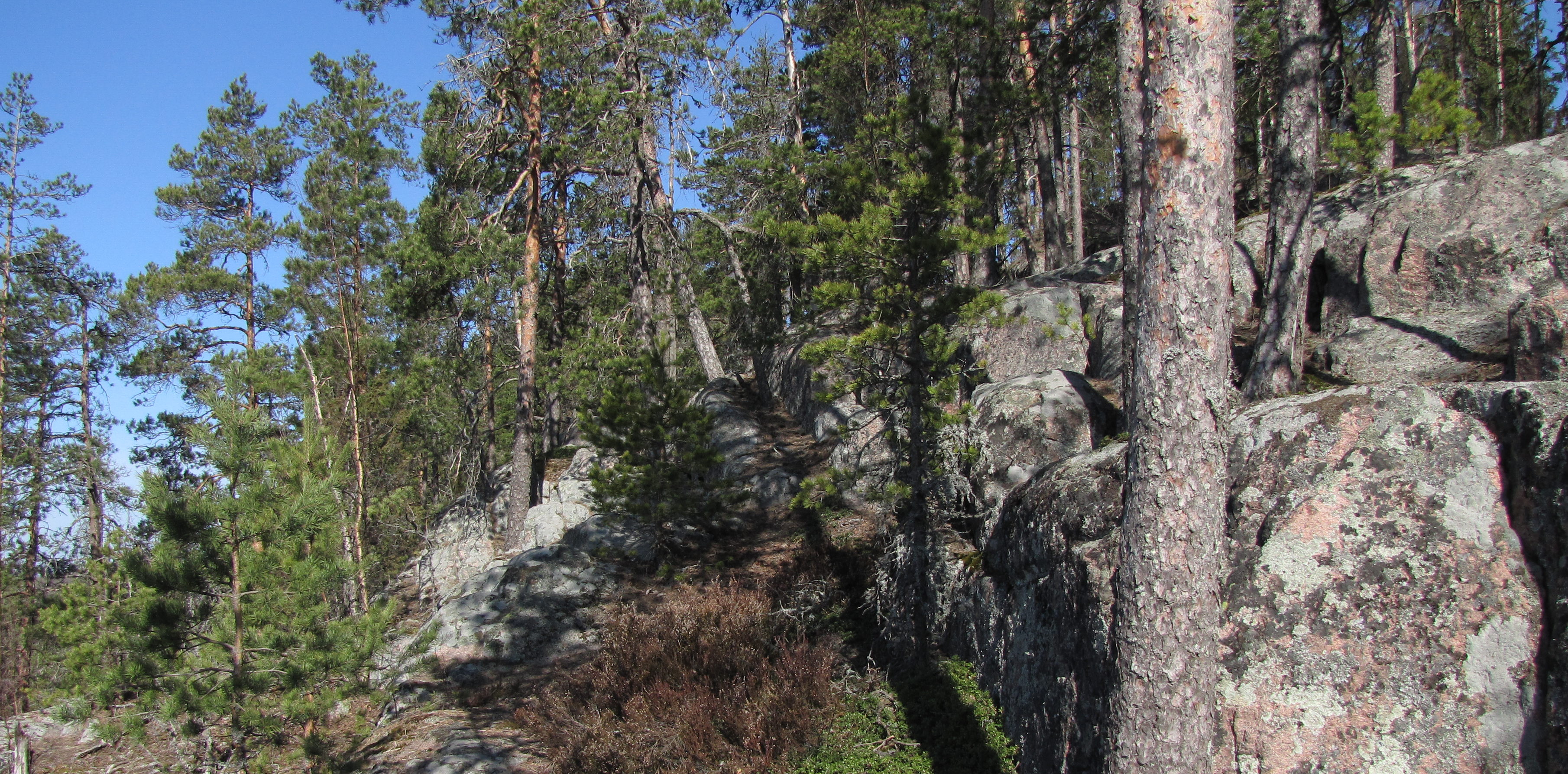 Määkynmäen kalliot Laurinmäen luontopolun varrella