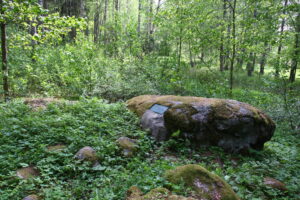 Laurinmäen luontopolun varrella sijaitseva, suurikokoinen ja laakea uhrikivi vihreän metsän keskellä.