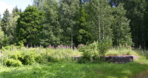 Kesäisen vihreässä maisemassa erottuu Räikälän kievarin kivijalka.