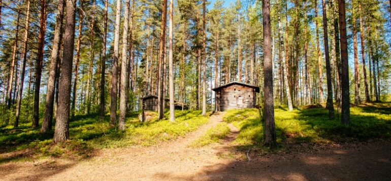 Laurinmäen torpparimuseolla, pienen mäen päällä sijaitseva Mäenpään savupirtti.