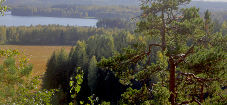 View from Määkymäki hill in Laurinmäki, Janakkala.