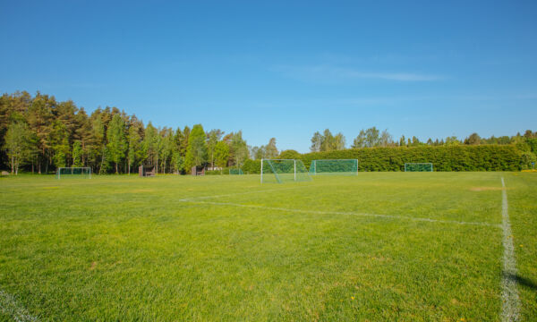 Nurmikenttä, jossa taustalla jalkapallomaalit.