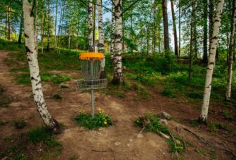 Frisbeegolf maali koivikon keskellä metsässä.