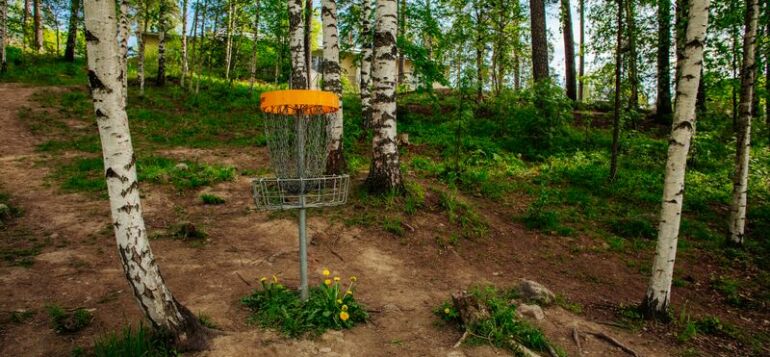 Frisbeegolf maali koivikon keskellä metsässä.