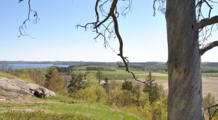 gratis nettsted for a henge opp pirkanmaa gratis nettsted for a henge opp pirkanmaa