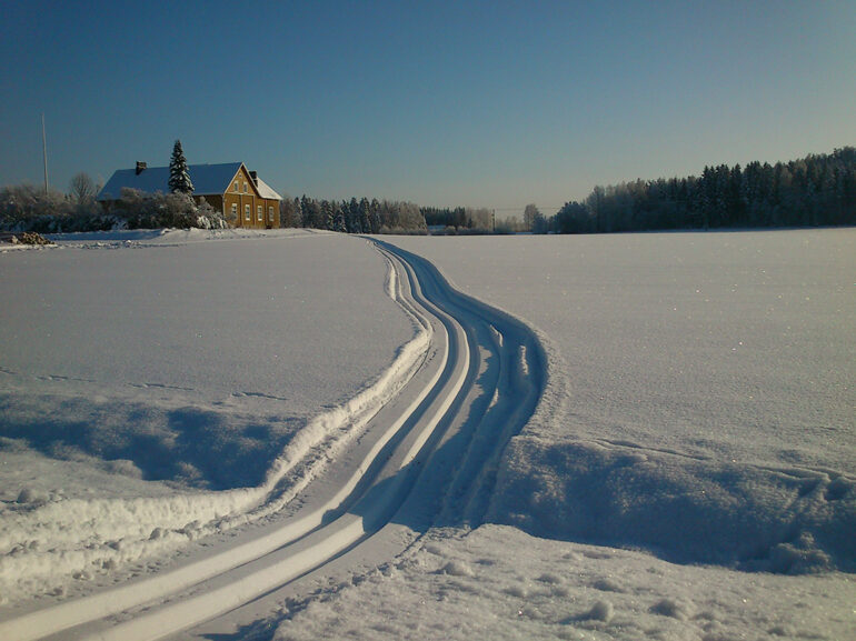 Skiing tracks.