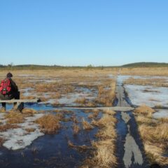 Man sitting in wet swamp.