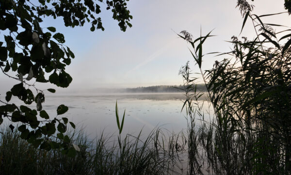 Lakeviem from Janakkala.