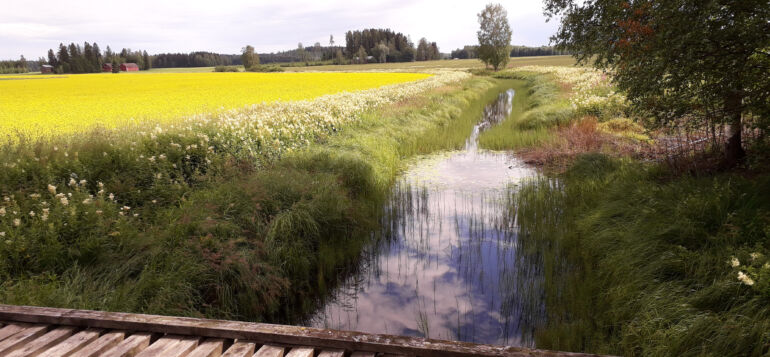 Maalaismaisemaa Tanttalasta, sillan alla virtaa Heinäjoki.