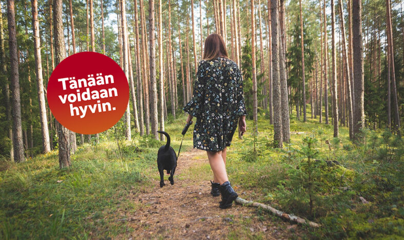 Tänään voidaan hyvin antaa koiran ulkoiluttaa. Koira omistajansa kanssa lenkillä metsässä.