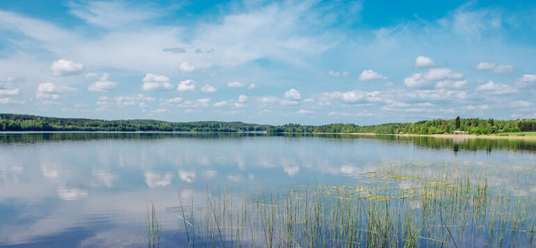 Kesäinen järvimaisema Rehakasta.