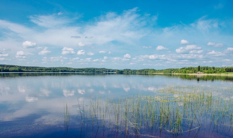Kesäinen järvimaisema Rehakasta.