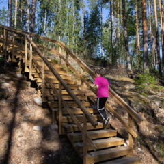 Kiipulan kuntoportaat nousevat Kiipulan harjumaisemaa myötäillen.