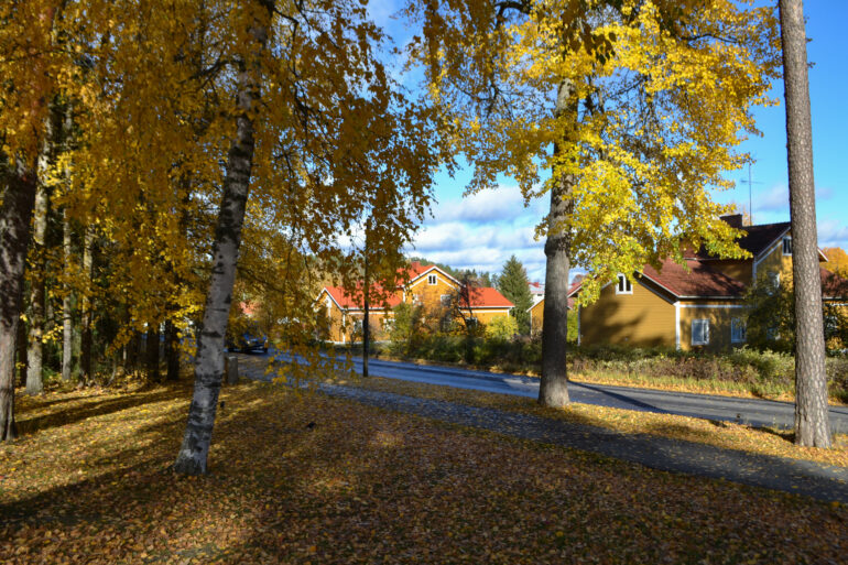 Old houses in autumn.