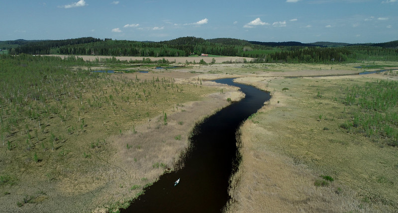 Ilmakuva joesta ruovikossa.