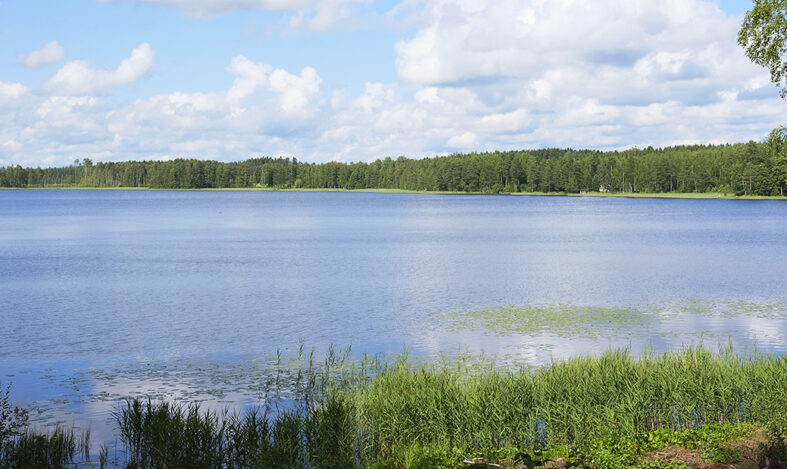 Kesäinen järvimaisema.