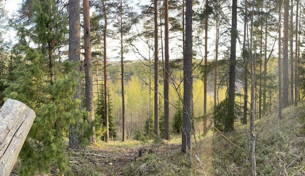 Näkymä harjulta.
