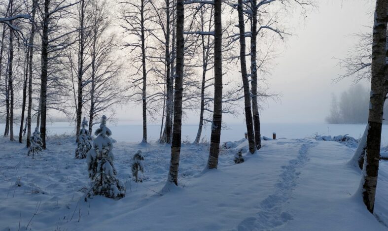 Luminen maisema Ahilammelta. Jalanjäljet lumessa vievät lauturille.