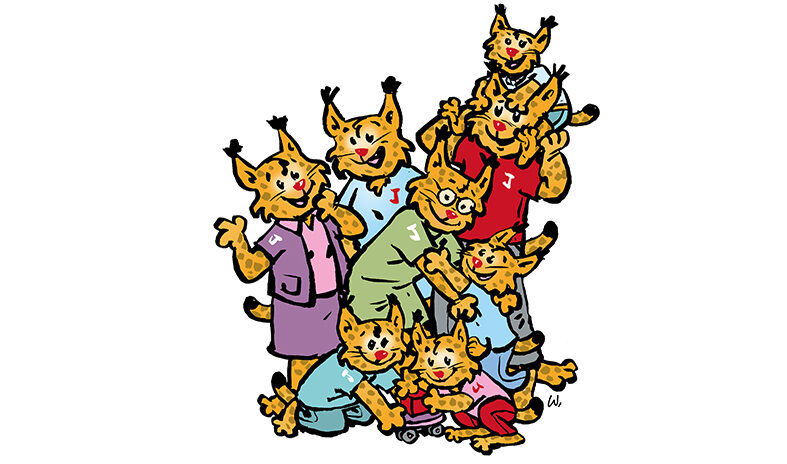 Ilvesperhe vauvasta vaariin.