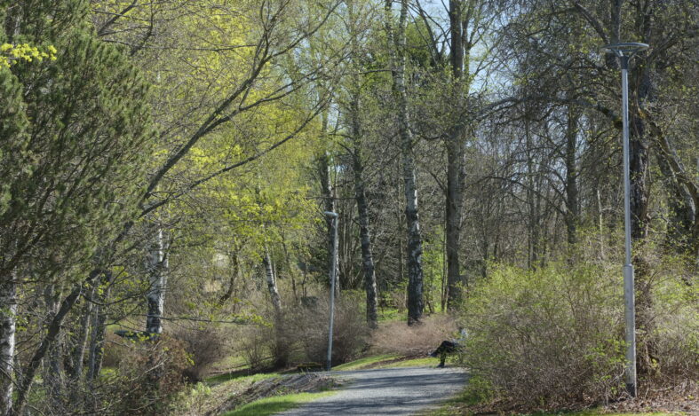 Keväinen kävelyreitti, ihminen istuu puistonpenkillä.