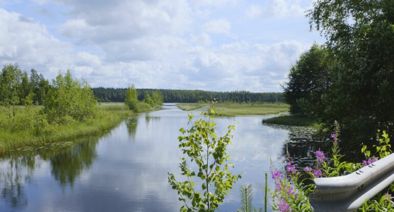 Kesäinen järvimaisema.