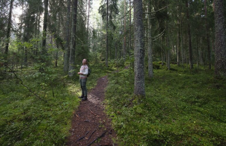 Nainen luontopolulla kuusikossa.