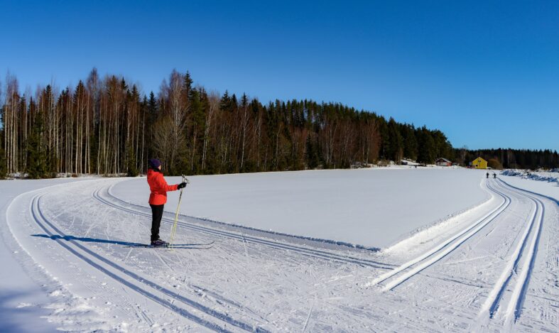 Hiihtäjä peloladuilla.