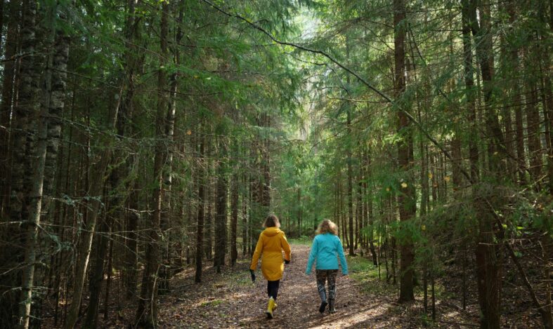 Kaksi henkilöä kävelemässä polkua pitkin kesäisessä metsässä.