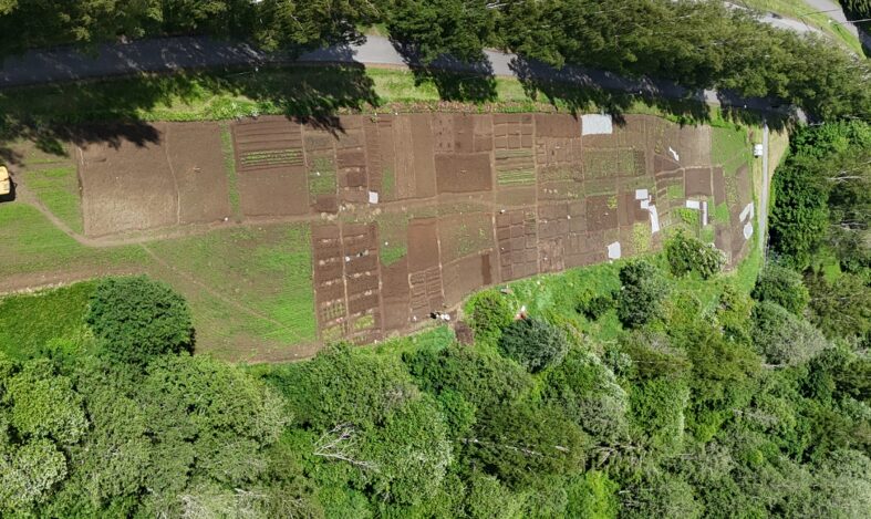 Palstaviljely ilmakuva