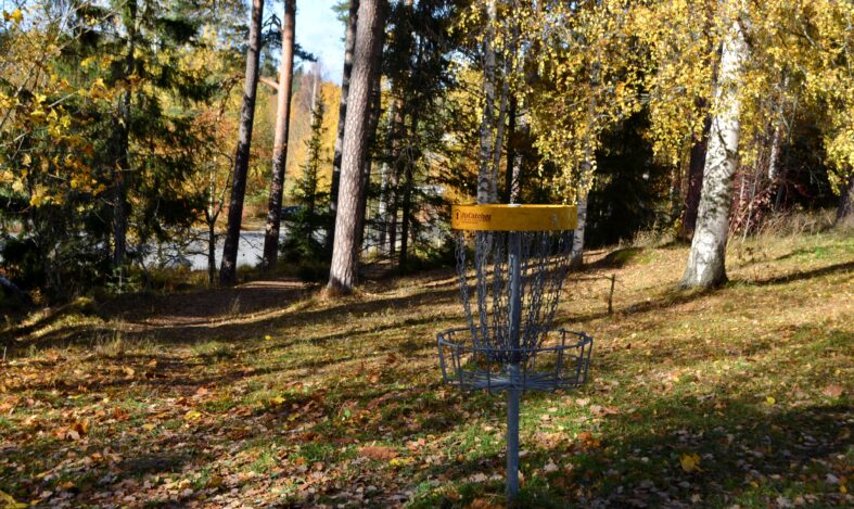 Frisbeekori syksyisessä metsässä.