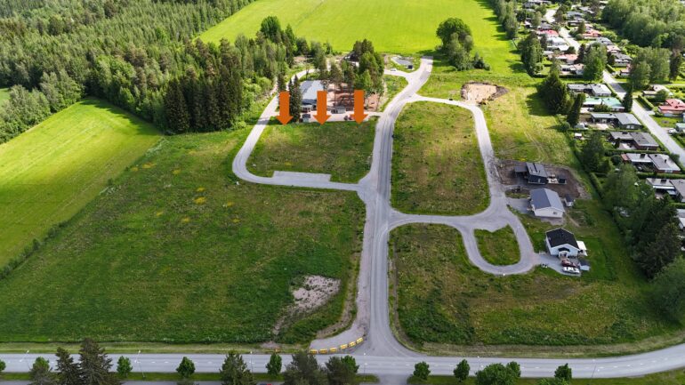 Moisio1 monivuotiset palstat