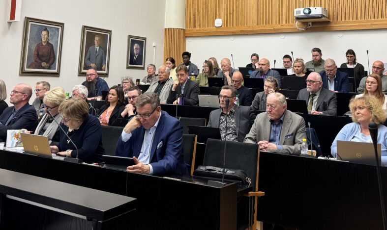 Valtuuston jäsenet valtuustosalissa.