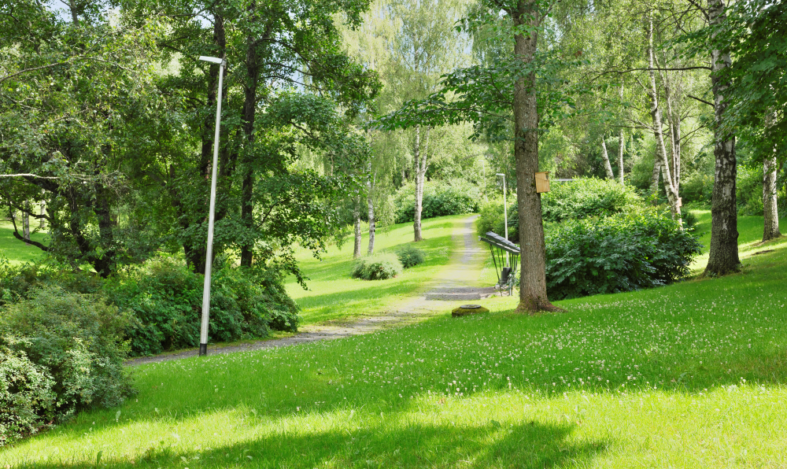 Kesäinen puistoalue.