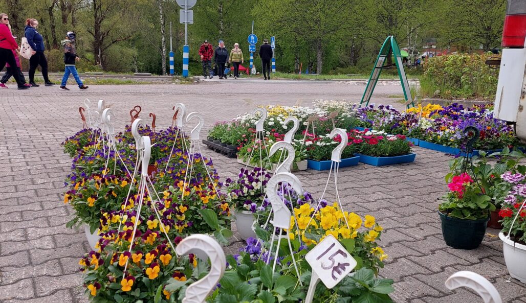 Kukka-amppeleita ja kesäkukkia laatoitetulla kävelykadulla. Taustalla ohikulkevia ihmisiä.