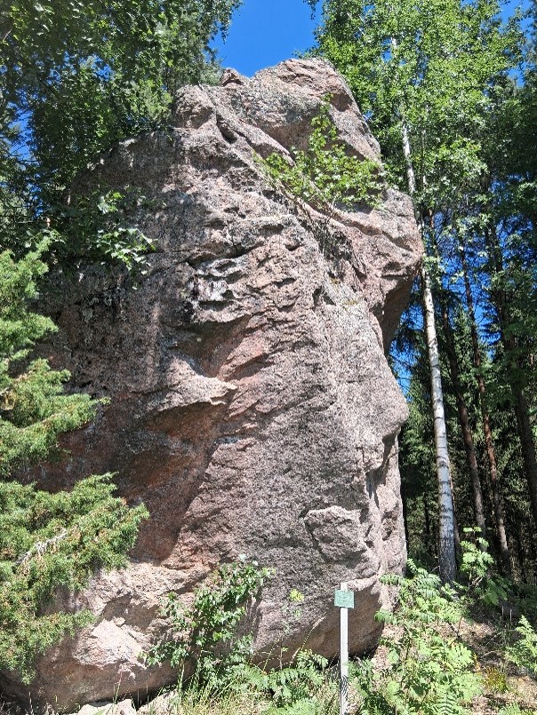 Korkea kivi metsäisessä ympäristössä. Kivi kohoaa vieressä olevan koivun latvustoon asti. Kiven edessä on kyltti.